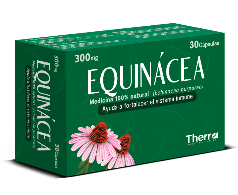 Equinacea - 300 mg, cápsulas