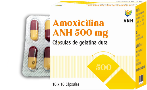[ANH-005] Amoxicilina ANH 500 mg
